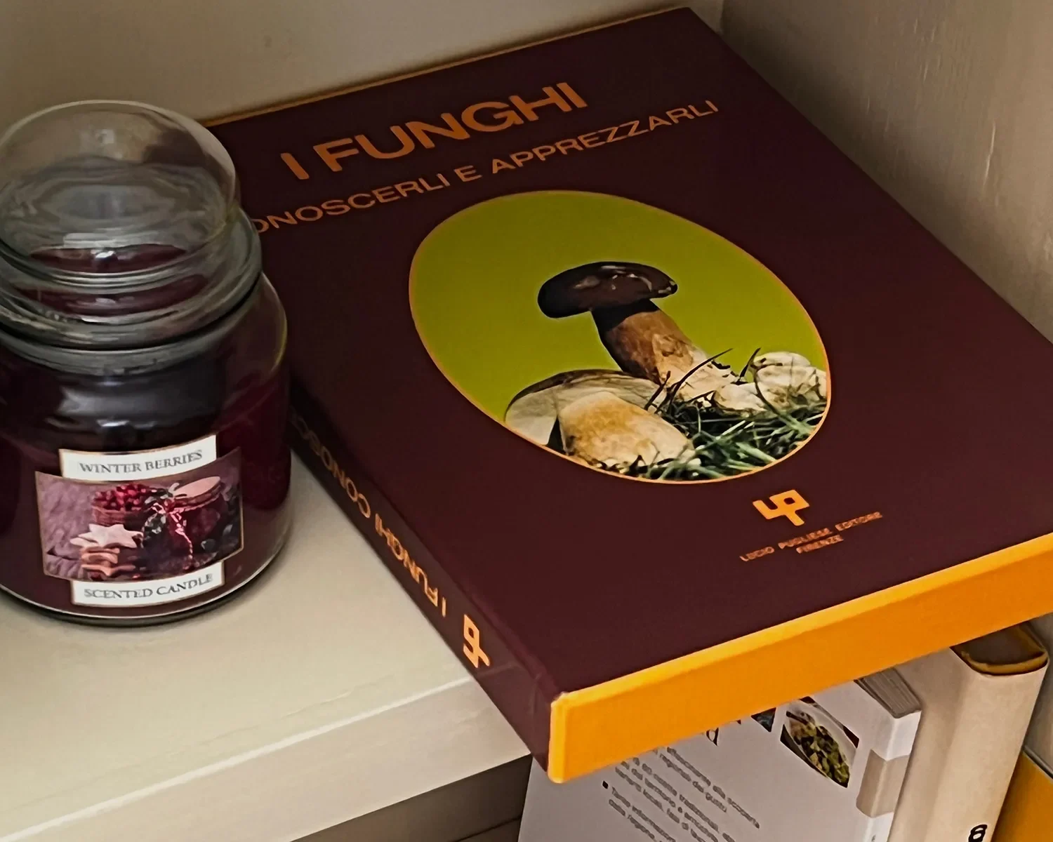 Sapori Umbri
Scopri il celebre olio extravergine di Trevi, il Sagrantino di Montefalco e la cucina tradizionale umbra.